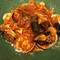 Brix Tapas Grill