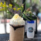 Yah-Yah Sayulita Cafe