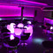 Hi Tide Sports Lounge