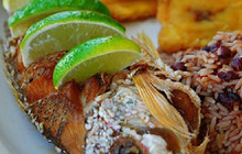 El Palmar Restaurant餐厅图片