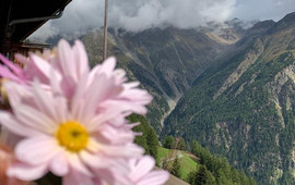 Maria's Alm (Marias Alm)