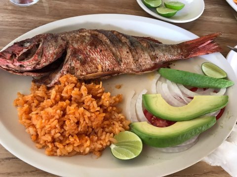 EL GRILLO MARINERO