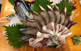 Ikiuo Kaitenzushi Uosen Gero
