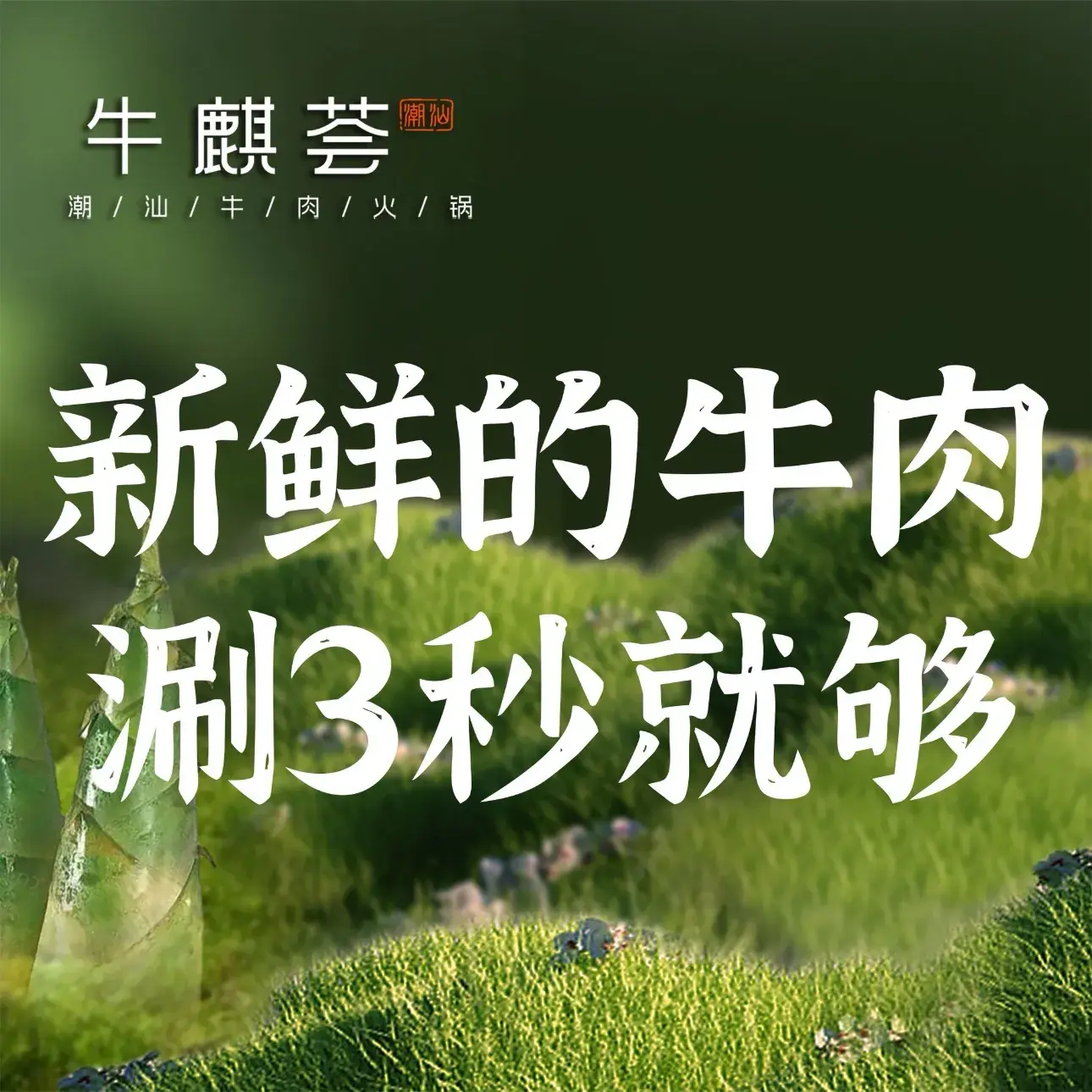 牛麒荟潮汕牛肉火锅(双清路店)