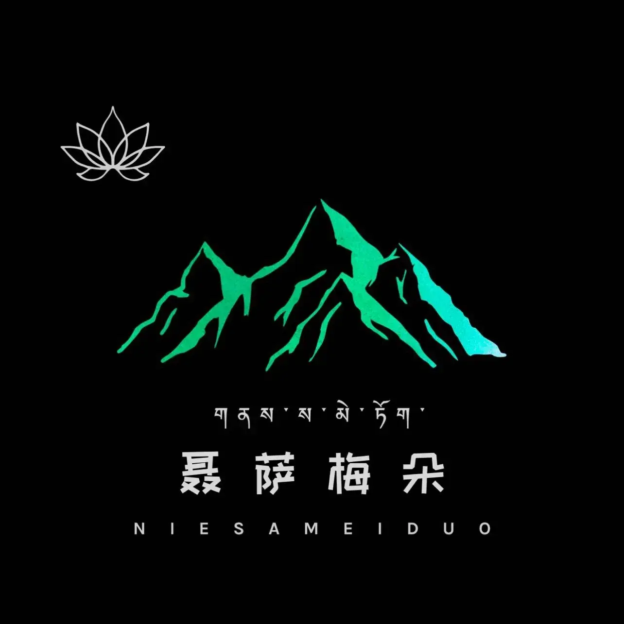 墨脱聂萨梅朵·餐厅餐厅图片
