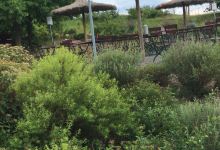 Biergarten Bio-Seehotel Zeulenroda美食图片