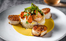 Tommy Bahama Restaurants & Marlin Bars
