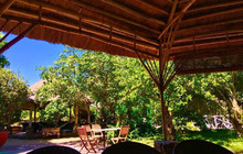 Nhà Hàng Sân Vườn Tranh Quê餐厅图片