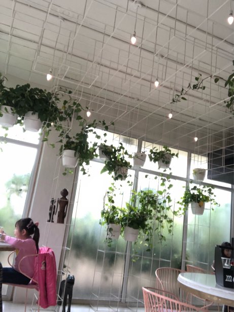 Mocha Cafe