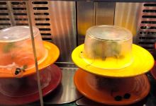 Tokyo Runnig Sushi美食图片
