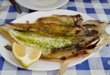 Bar El Rubio II美食图片