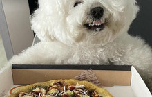 Vulcano Pizzeria餐厅图片