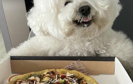 Vulcano Pizzeria