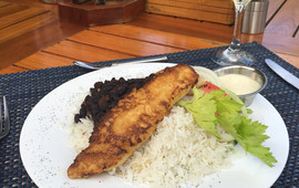 Tambor Tropical Bar & Restaurant