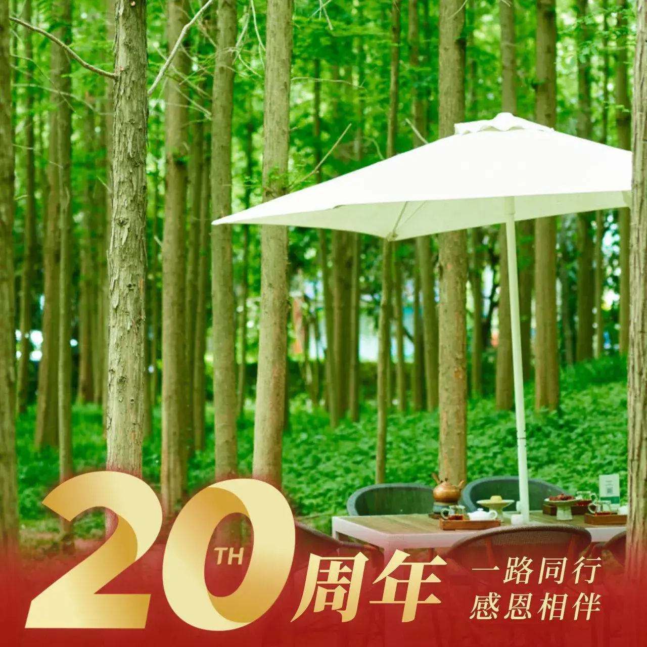 瓦库(思念果岭店)美食图片