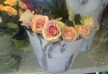 Fynbos Shop and Coffee Shop美食图片