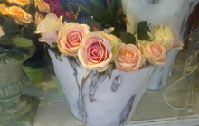 Fynbos Shop and Coffee Shop餐厅图片