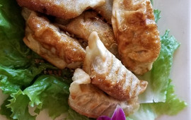 Orchid Thai Cuisine