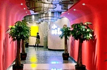 Gallery 3