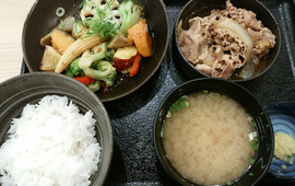 Yoshinoya Highway 4 Hurukawa Sakae-Cho