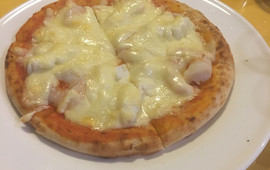 Pasteria Chichuukai