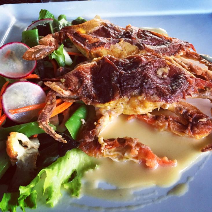 Terrapin Restaurant