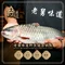老舅味道·石锅鱼·野生菌(禄充店)