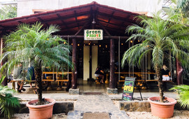 Green Papaya Taco Bar