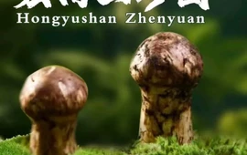 宏雨山珍园