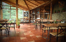 Cafe Under Tree餐厅图片