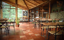 Cafe Under Tree