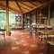 Cafe Under Tree
