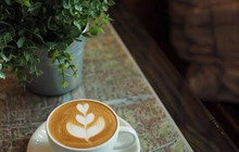 Latte Bear Coffee餐厅图片