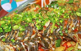 鸬鹚嘴鱼馆