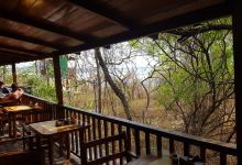 Hotel Las Tortugas -Dining美食图片