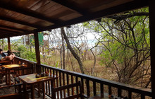 Hotel Las Tortugas -Dining餐厅图片