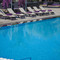 Pool Oasis