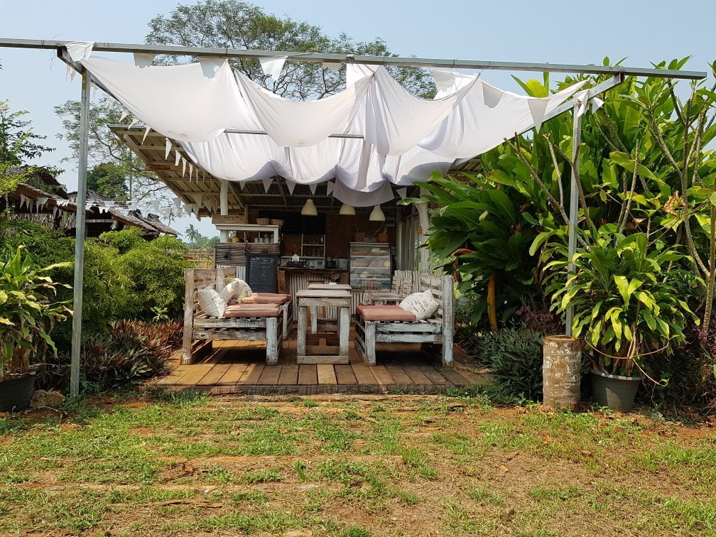 WildHeart Farm