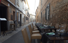 terra di vino