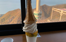 Yahiko Summit Prospects Dininig Room