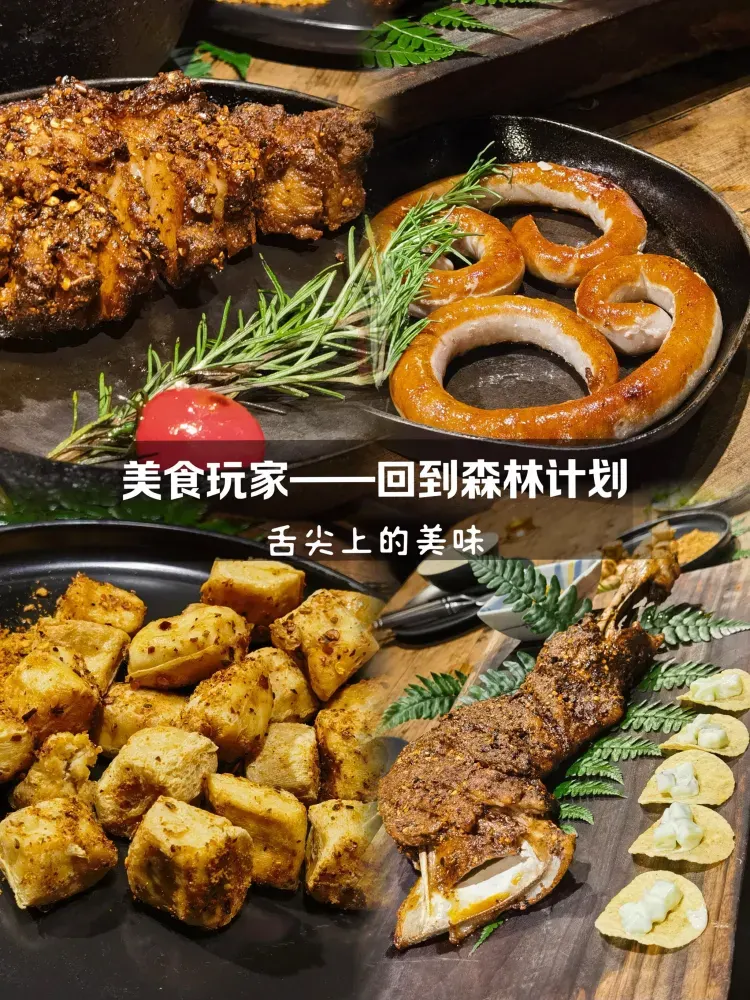 回到森林计划