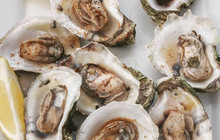 Creekside Oyster House & Grill餐厅图片