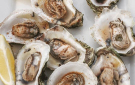 Creekside Oyster House & Grill