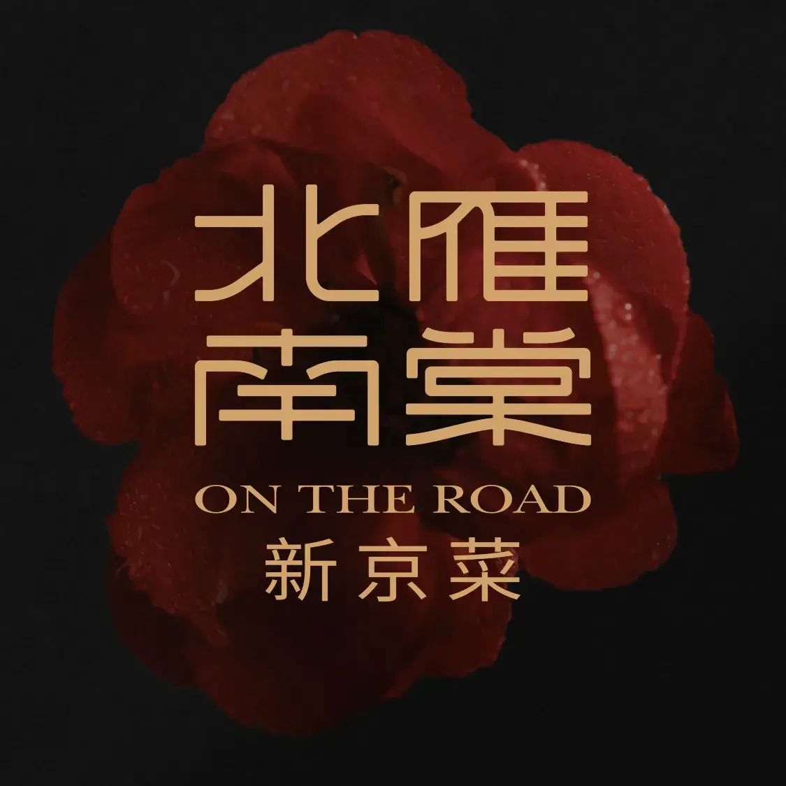 北雁南棠·新京菜(前进大街店)