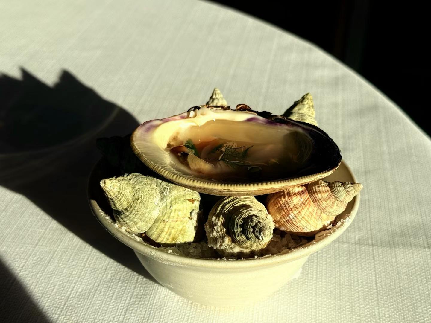 Willem Hiele 2.0, Oudenburg