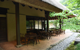 Kayanoya