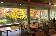 Momochidori餐厅图片