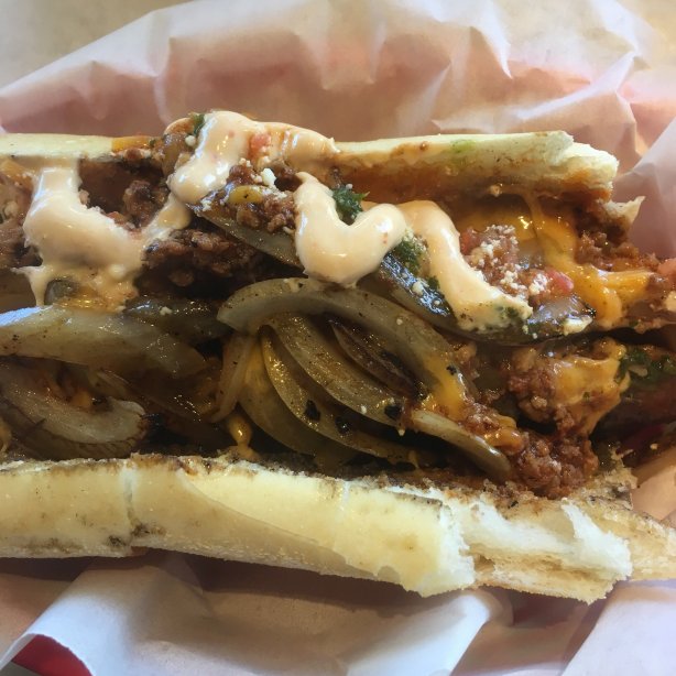 Holydog