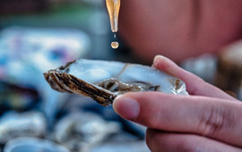 The Oyster Shack