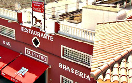 El Potro